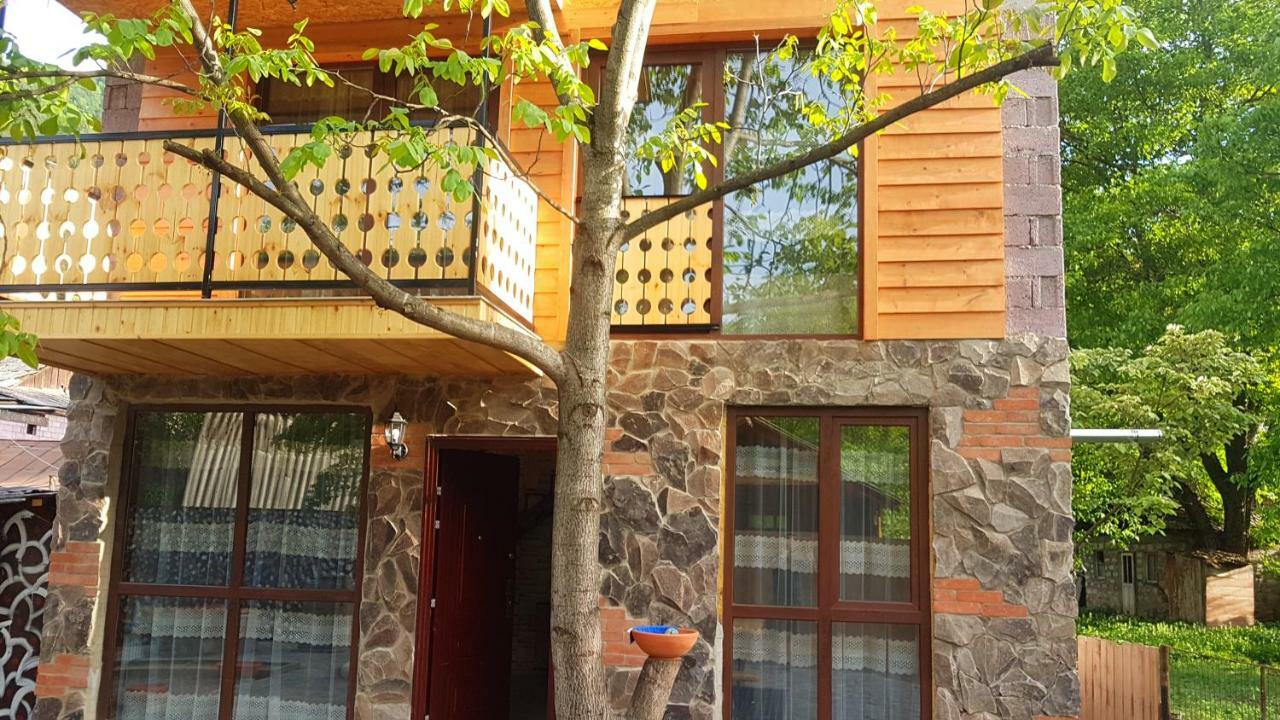 Levani'S Cottage Bordschomi Exterior foto